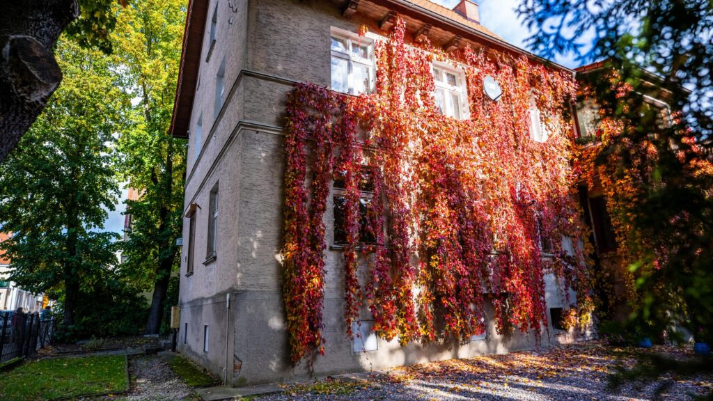 Mieszkanie z ogródkiem w centrum | Mazury Giżycko - zdjęcie 19
