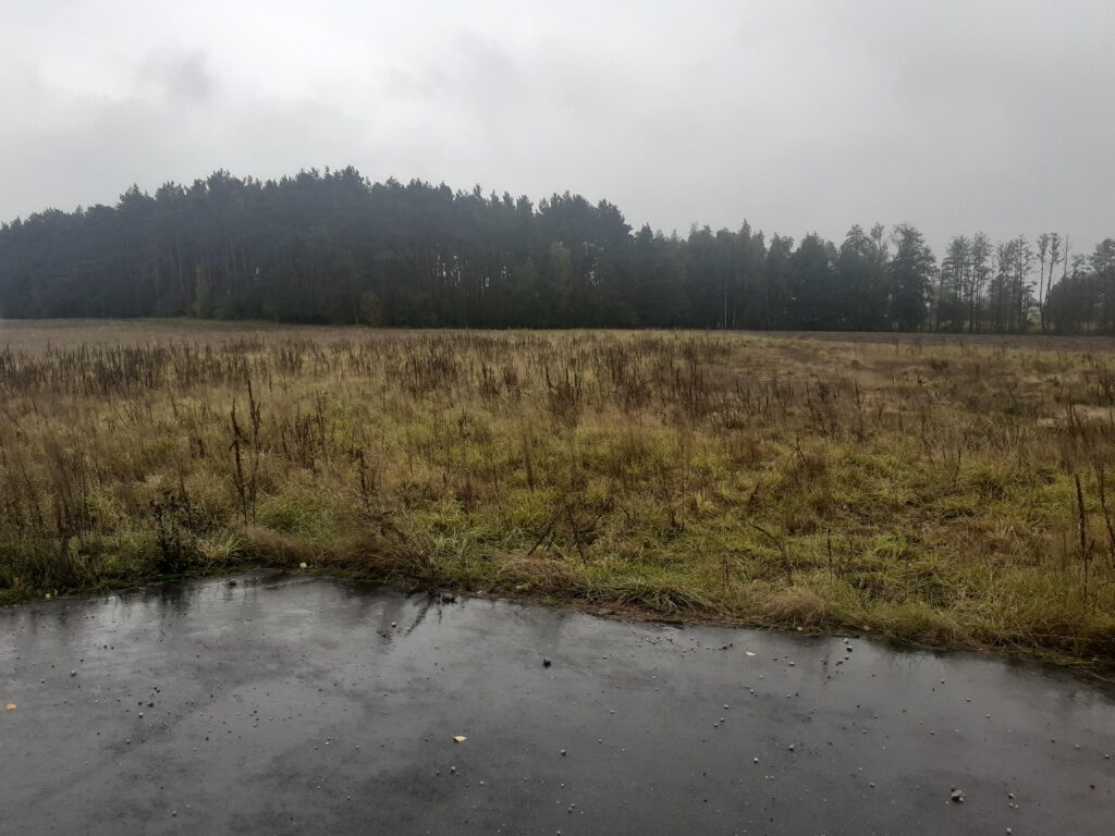 Idealna działka z warunkami zabudowy w Romanowie - zdjęcie 4