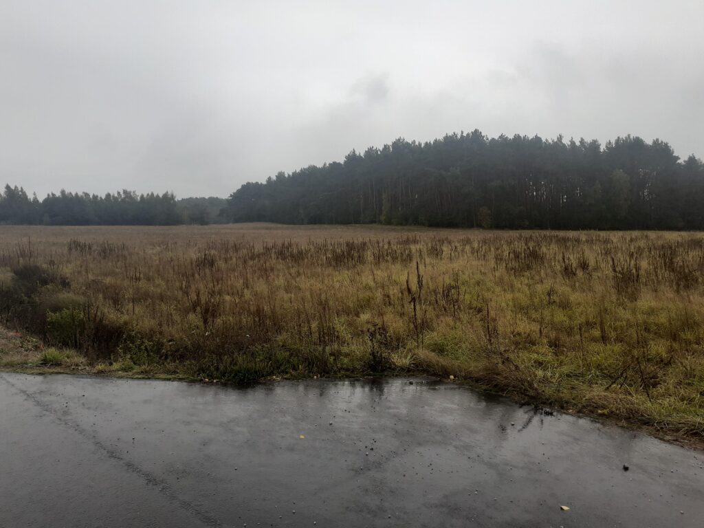 Idealna działka z warunkami zabudowy w Romanowie - zdjęcie 5