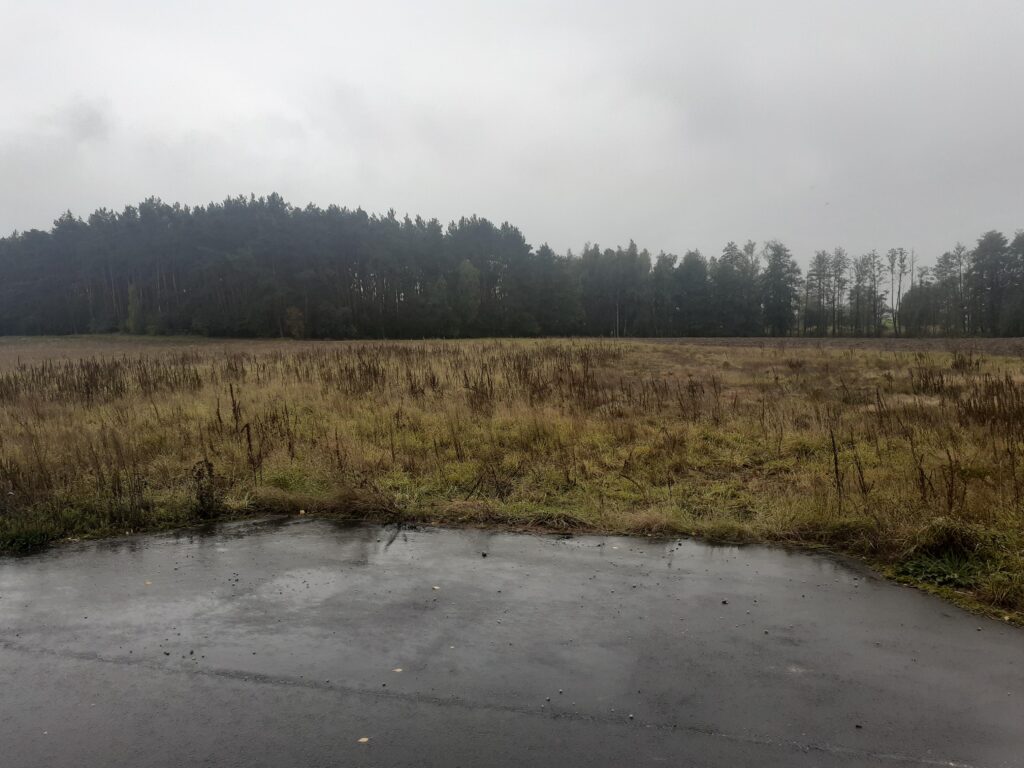 Idealna działka z warunkami zabudowy w Romanowie - zdjęcie 6