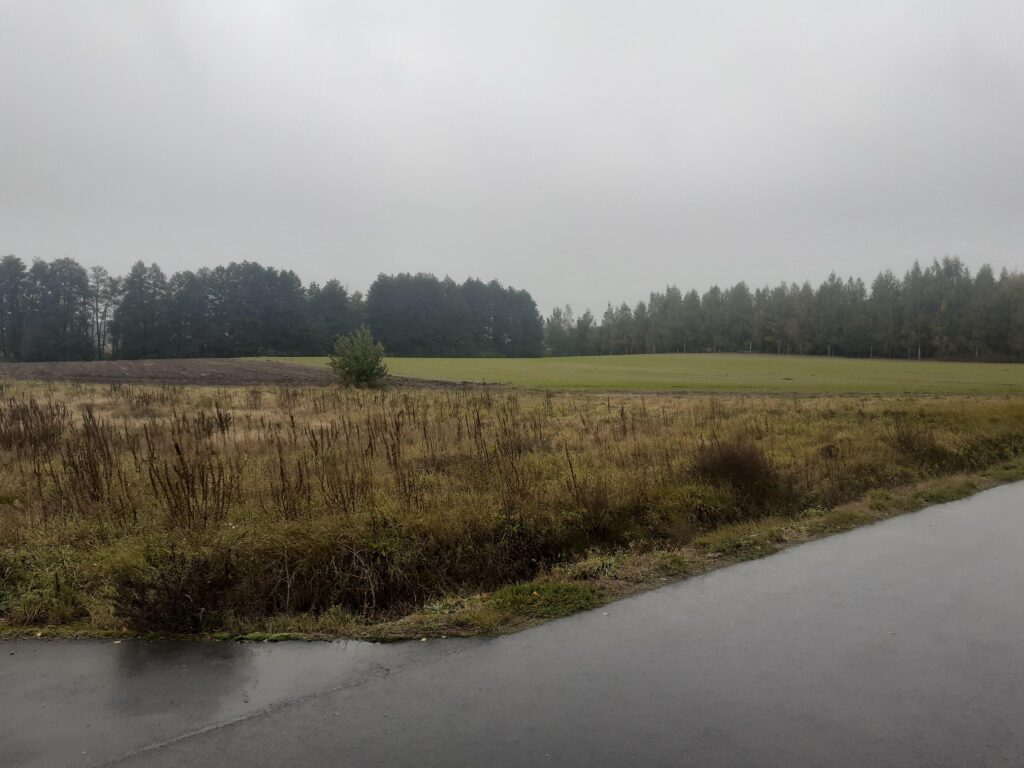 Idealna działka z warunkami zabudowy w Romanowie - zdjęcie 7