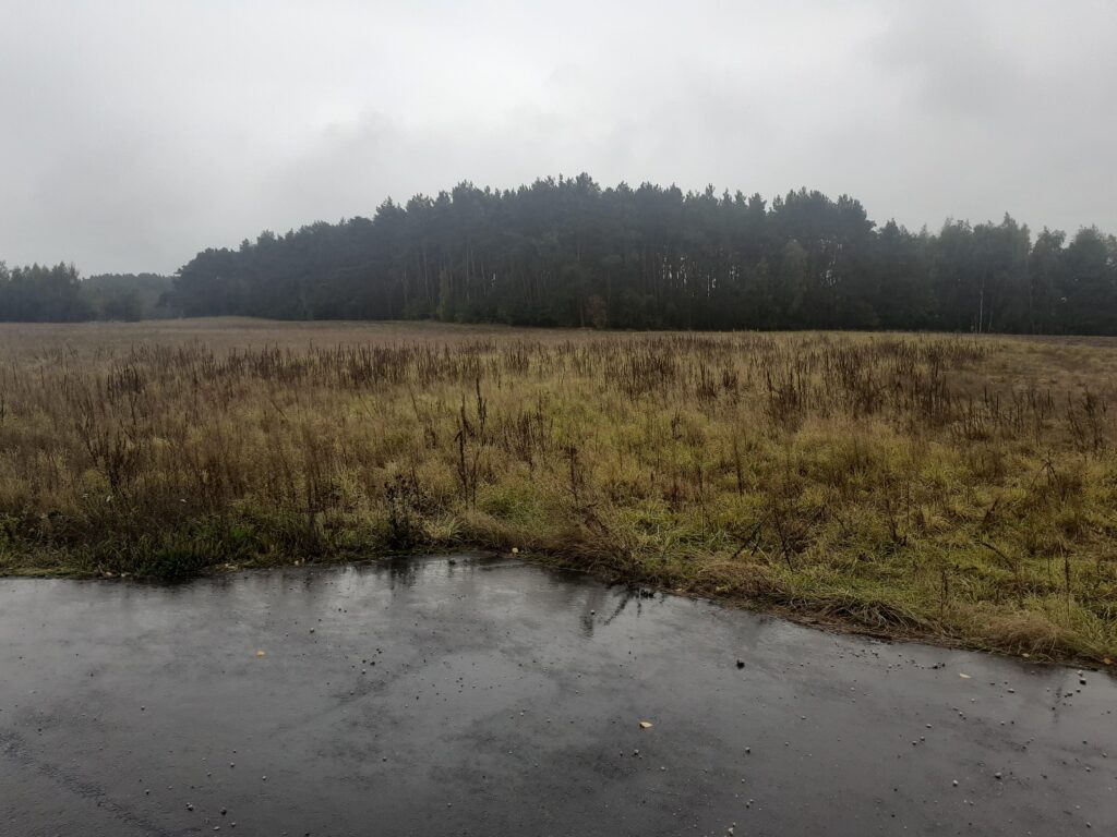 Idealna działka z warunkami zabudowy w Romanowie - zdjęcie 9