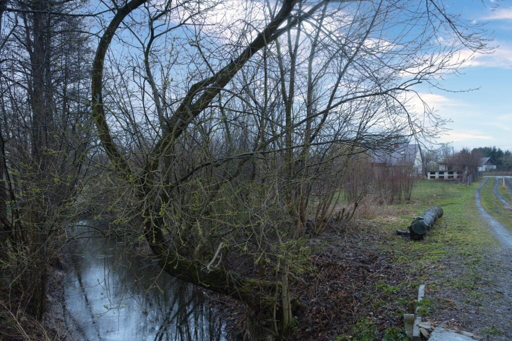 Działka 33 ar z domem 120 m² Zdrapy, Wilkołaz - zdjęcie 22