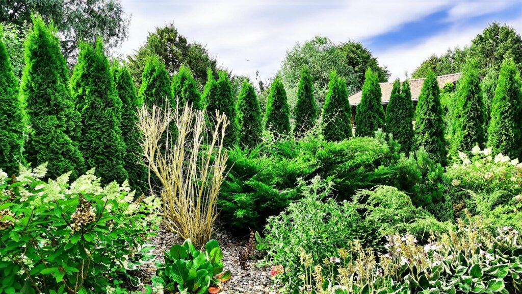 Ekskluzywna rezydencja z basenem do wynajęcia - zdjęcie 38