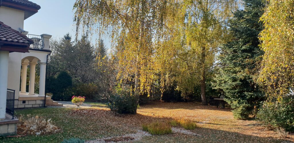 Dom 350 m² – Szerokie, Lublin  Działka 20 ar - zdjęcie 31