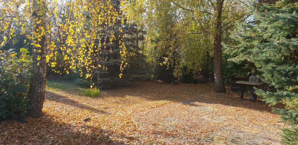 Dom 350 m² – Szerokie, Lublin  Działka 20 ar - zdjęcie 30