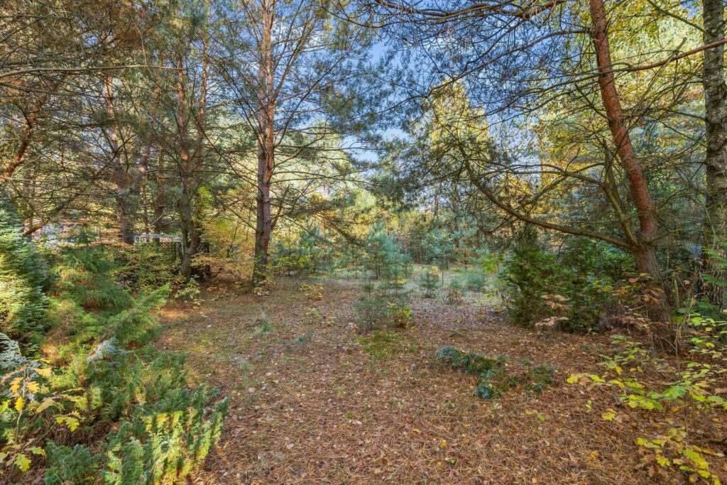 Działka budowlana Serock 1000 m² Zegrze - zdjęcie 6