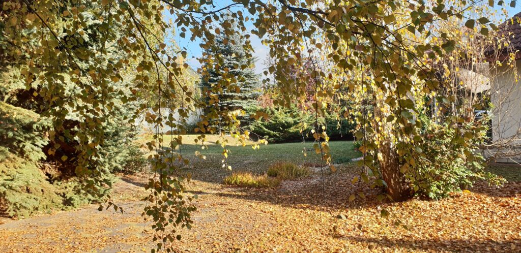 Dom 350 m² – Szerokie, Lublin  Działka 20 ar - zdjęcie 18