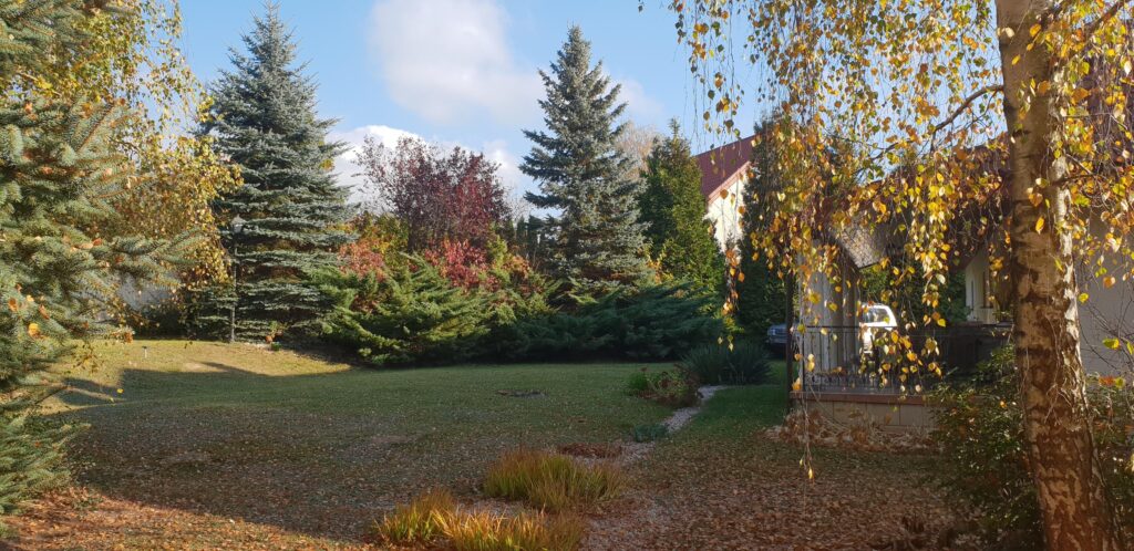 Dom 350 m² – Szerokie, Lublin  Działka 20 ar - zdjęcie 34