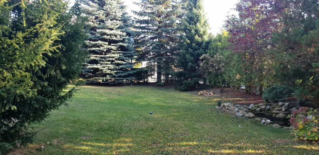 Dom 350 m² – Szerokie, Lublin  Działka 20 ar - zdjęcie 36