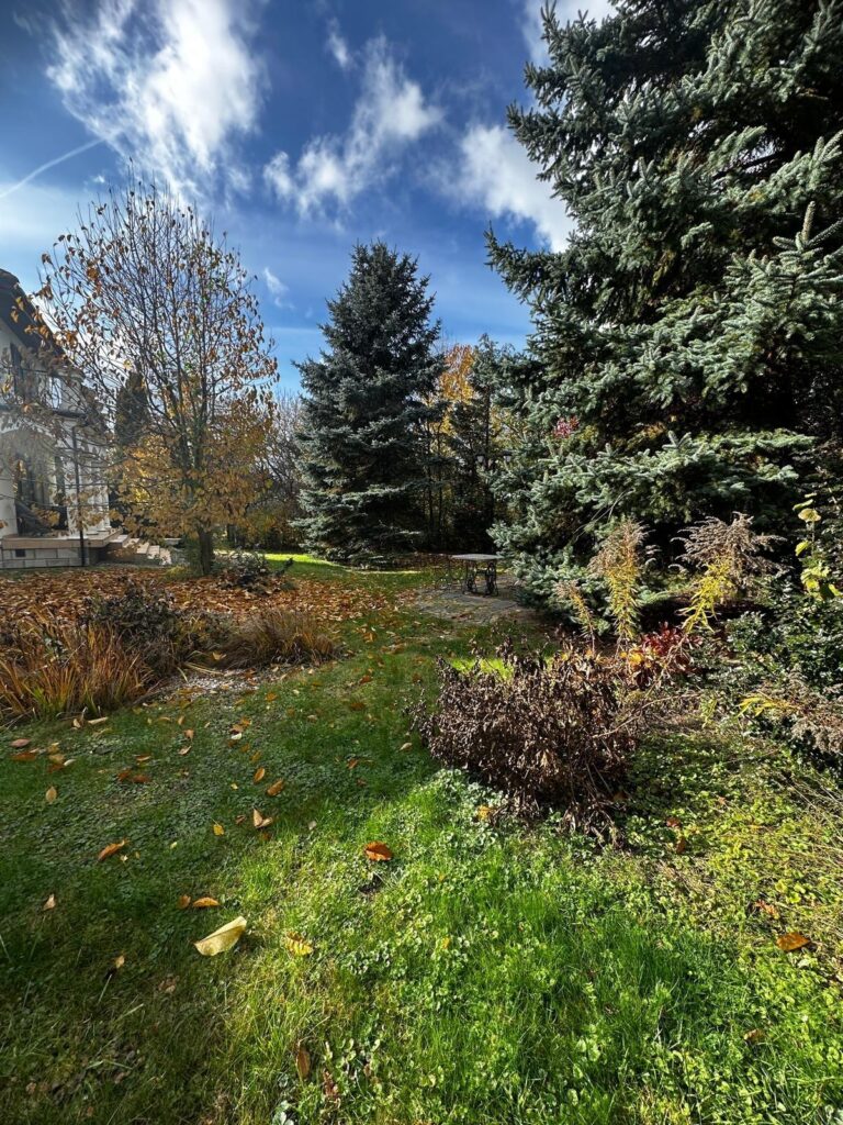 Dom 350 m² – Szerokie, Lublin  Działka 20 ar - zdjęcie 38