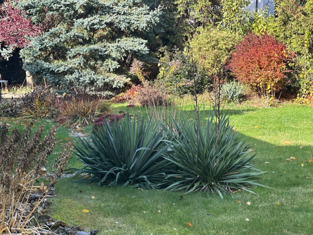 Dom 350 m² – Szerokie, Lublin  Działka 20 ar - zdjęcie 39