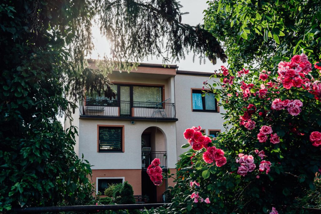 Nowa cena!!! - zdjęcie 2