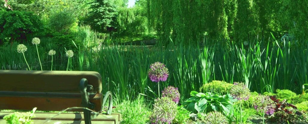 Nowa cena!!! - zdjęcie 13