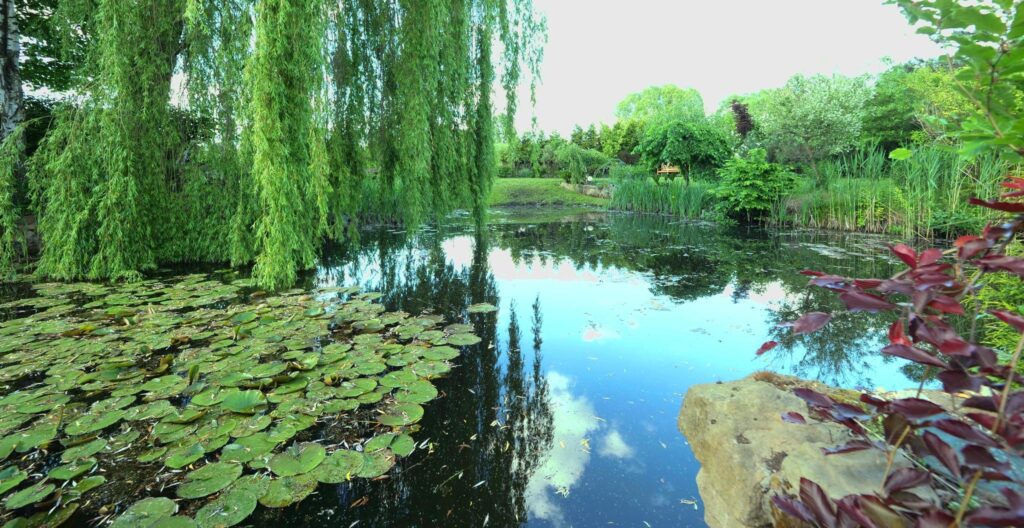 Nowa cena!!! - zdjęcie 16