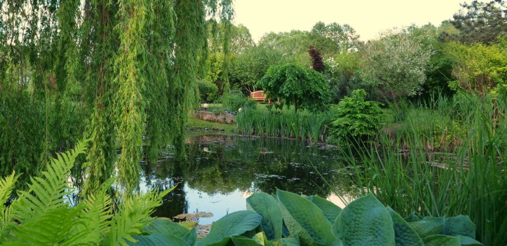 Nowa cena!!! - zdjęcie 17