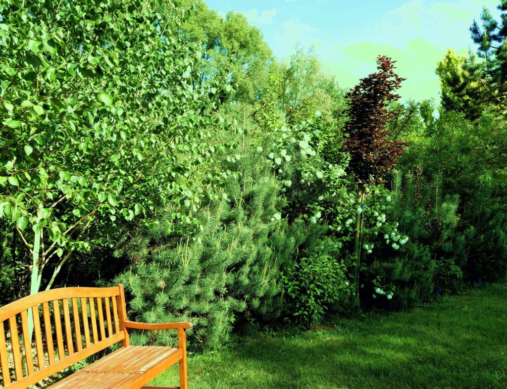 Nowa cena!!! - zdjęcie 21