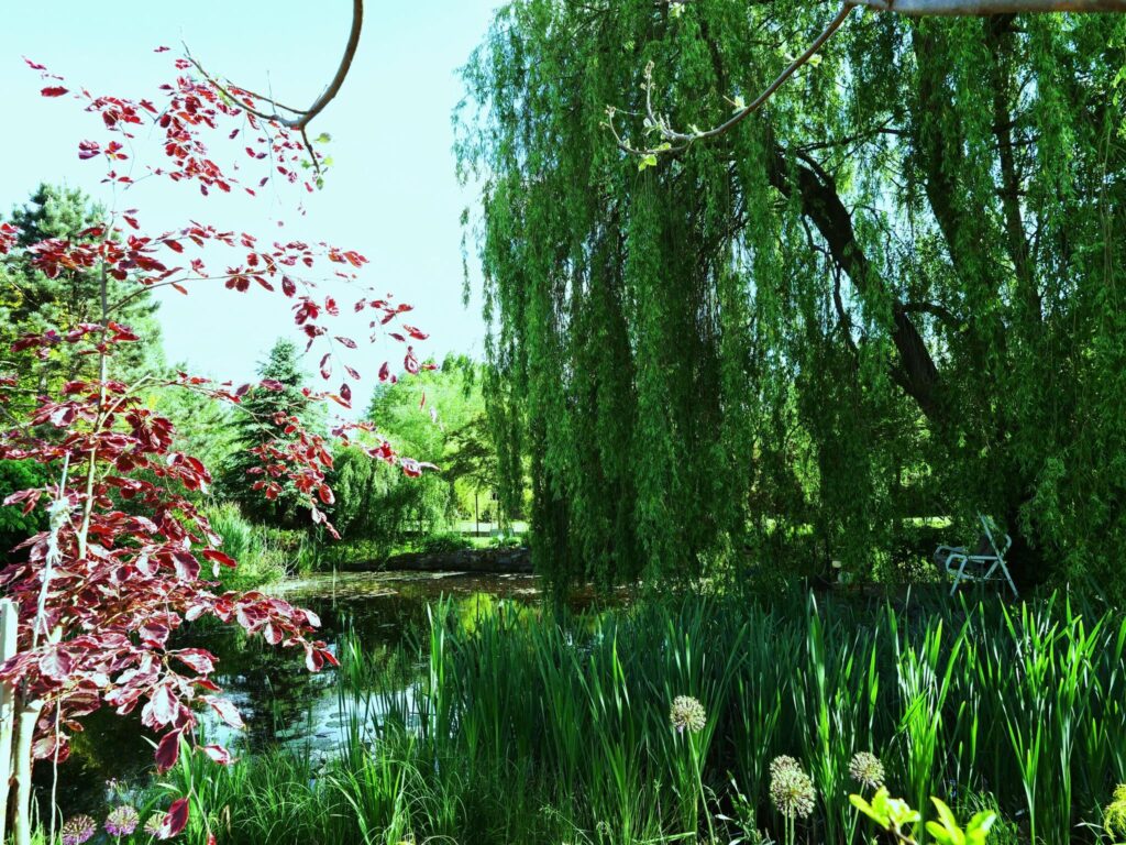 Nowa cena!!! - zdjęcie 14