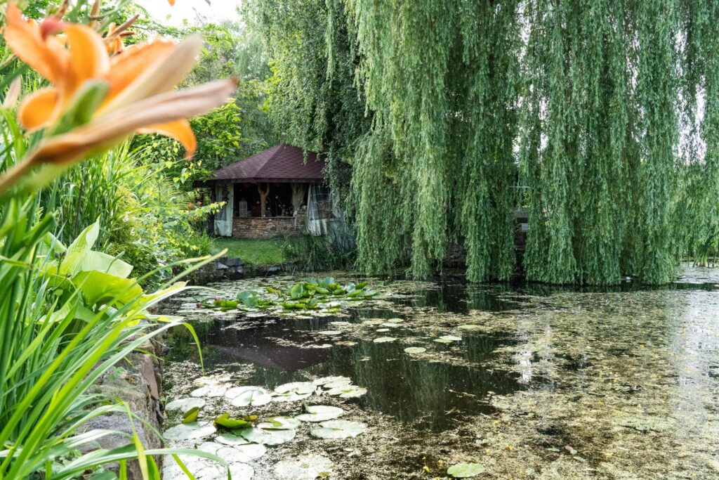 Nowa cena!!! - zdjęcie 25