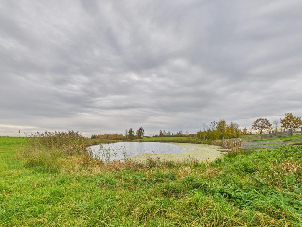 Dom z bali 150m² oraz duża działka 4 ha - zdjęcie 22