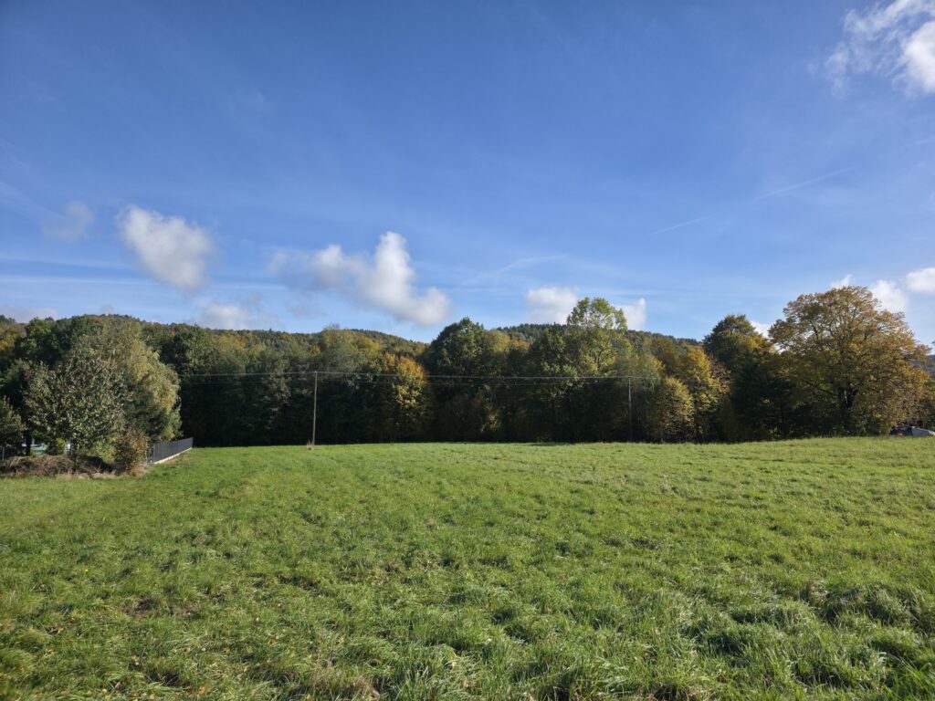 Rezerwacja! - zdjęcie 2