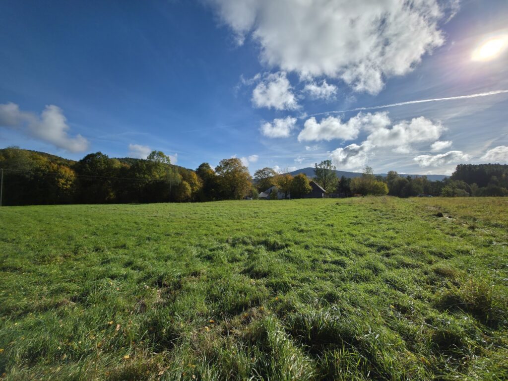 Rezerwacja! - zdjęcie 3