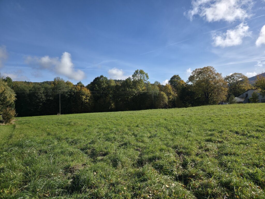 Rezerwacja! - zdjęcie 4