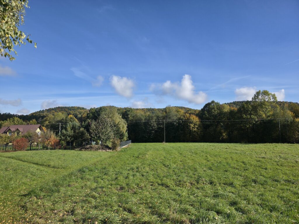 Rezerwacja! - zdjęcie 5