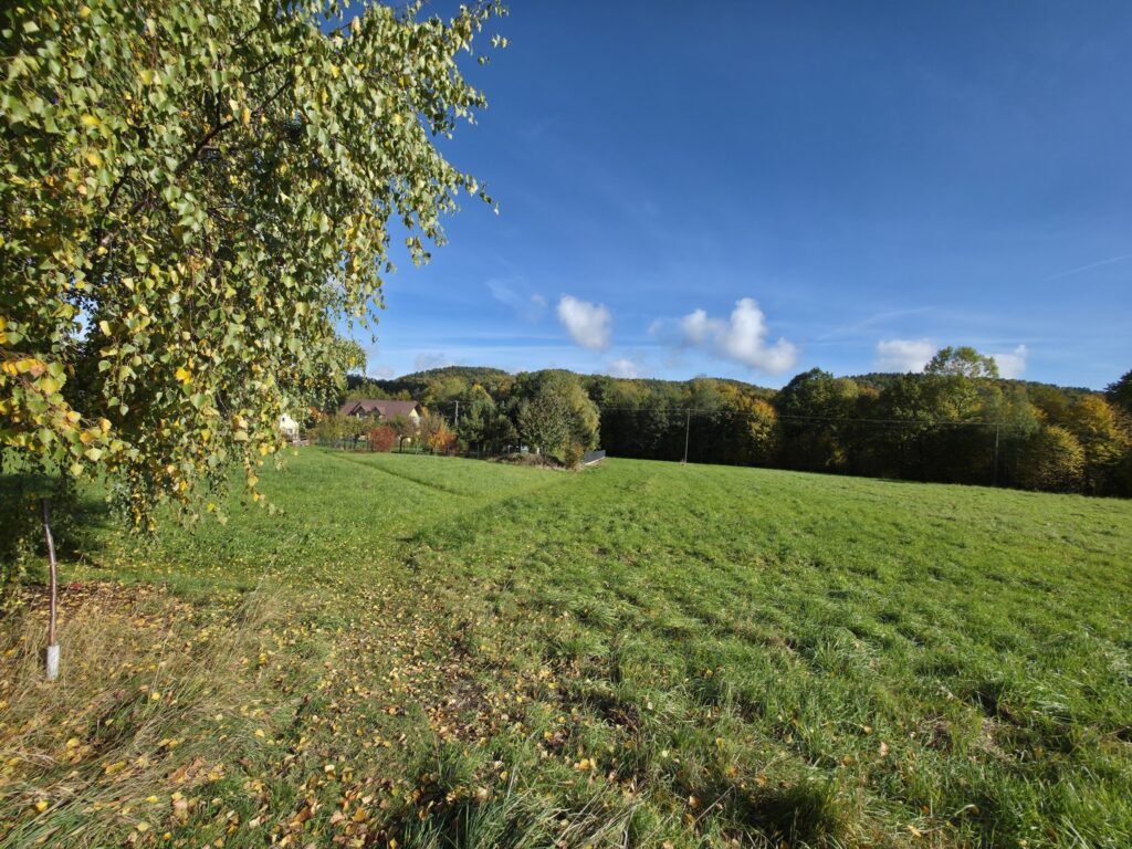 Rezerwacja! - zdjęcie 1