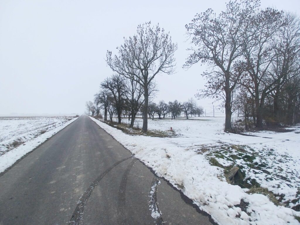 Dom z potencjałem na dużej działce - zdjęcie 8