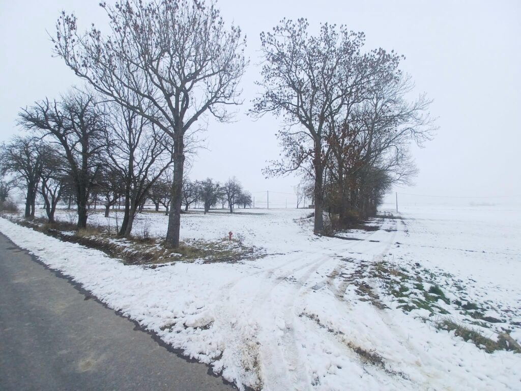 Dom z potencjałem na dużej działce - zdjęcie 9