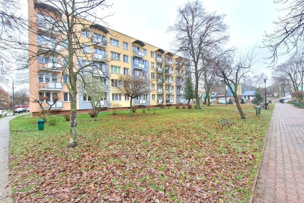 Przytulna kawalerka - Sidorska/Al. Tysiąclecia - zdjęcie 15