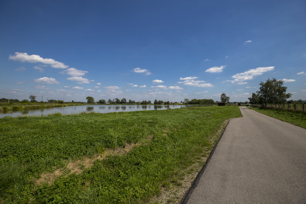 Działka 6,33 ha obok pola golfowego Trzciana - zdjęcie 10