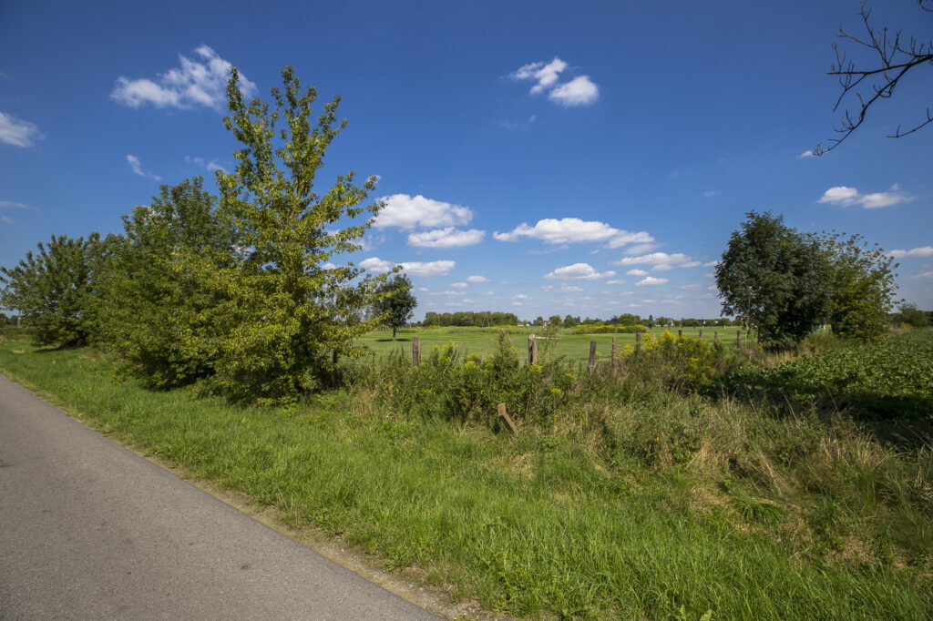 Działka 6,33 ha obok pola golfowego Trzciana - zdjęcie 9