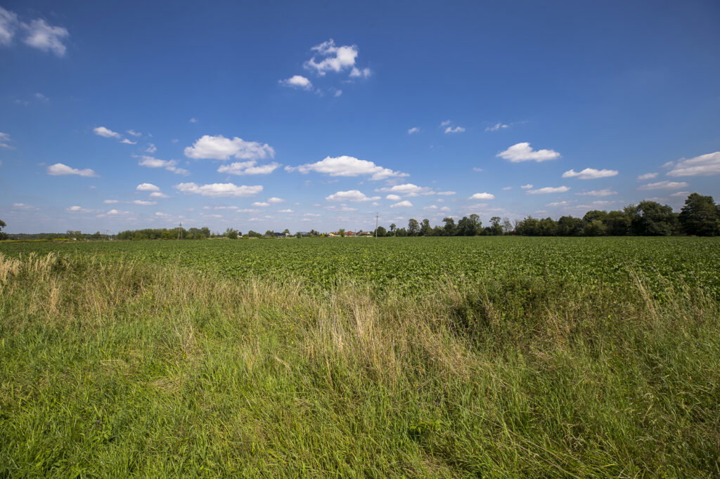 Działka 6,33 ha obok pola golfowego Trzciana - zdjęcie 7