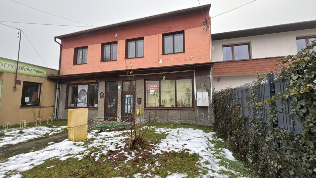 Lokal użytkowy pod działalność - zdjęcie 3