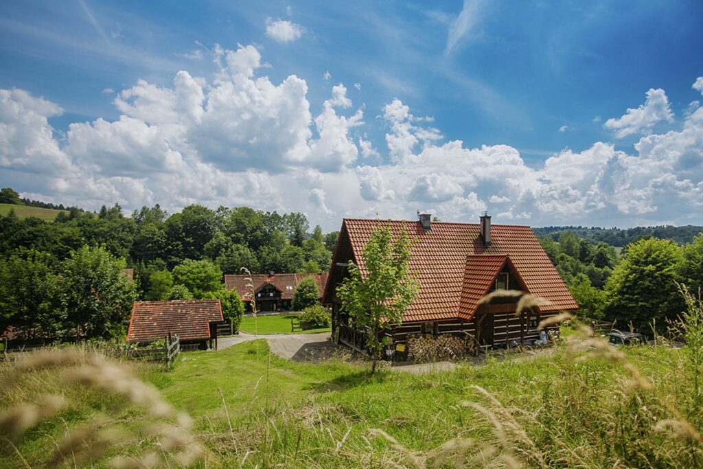 Dom w Bieszczadach - zdjęcie 1