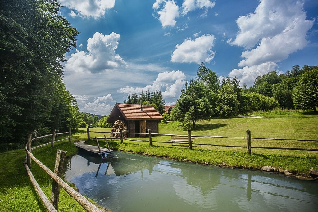 Dom w Bieszczadach - zdjęcie 11