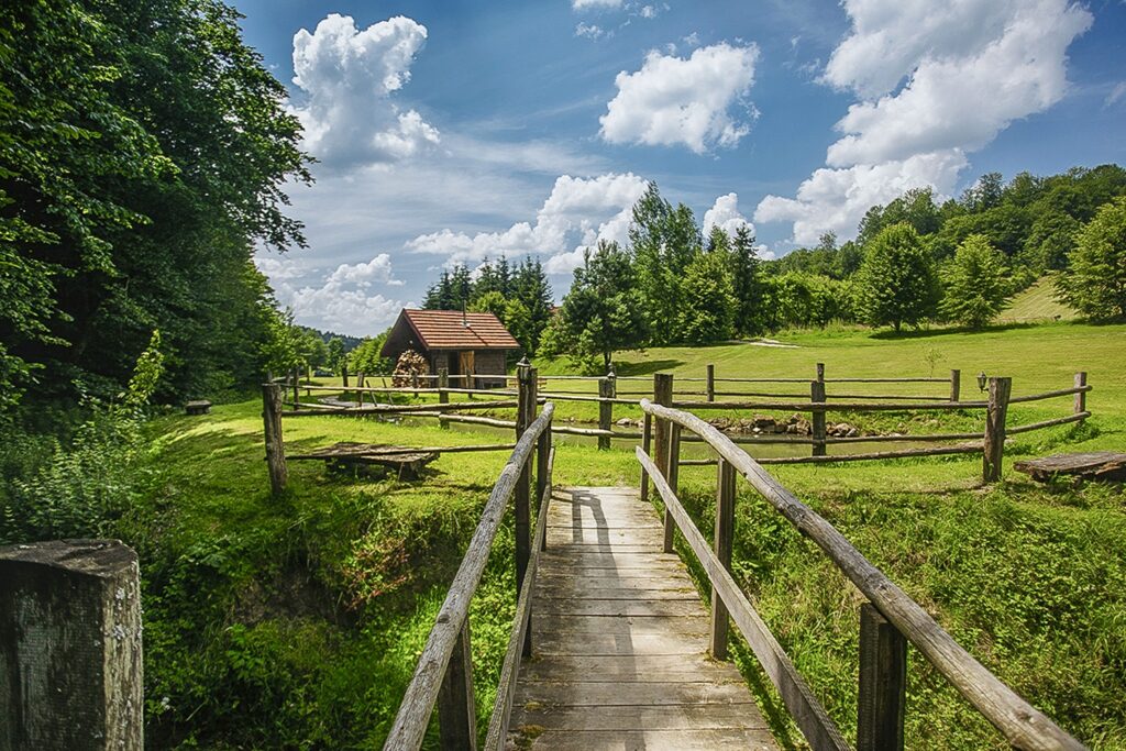 Dom w Bieszczadach - zdjęcie 12