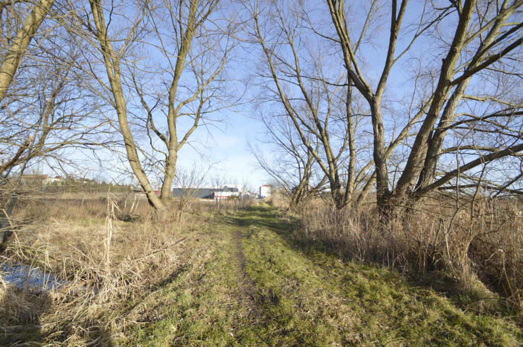Działka produkcyjno-usługowa 4445 m2 w Kępnie - zdjęcie 5
