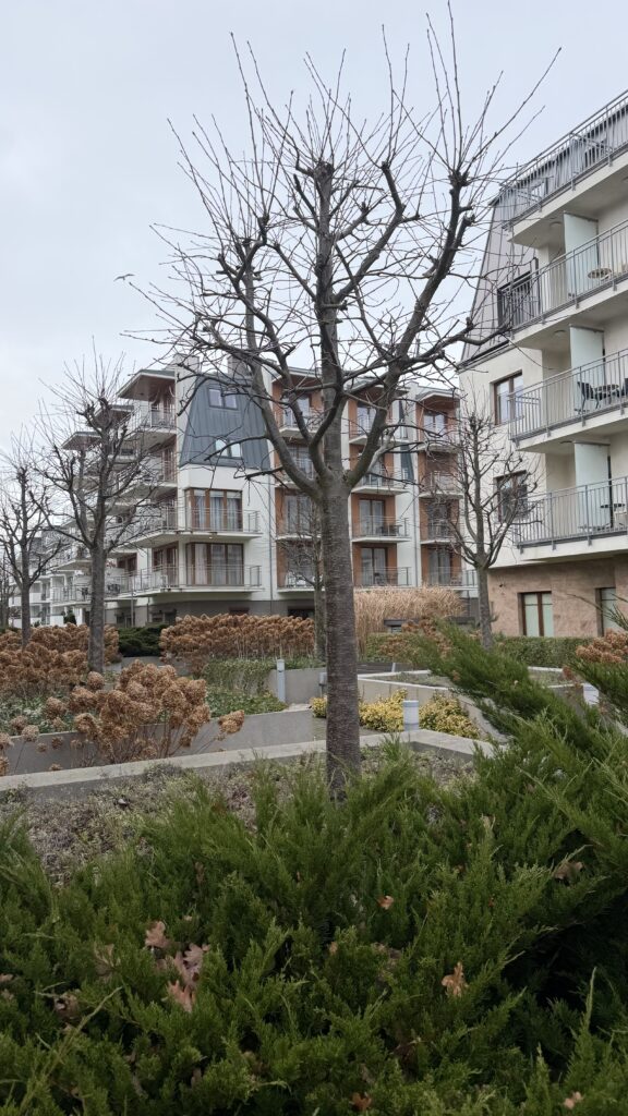 Aquamarina Studio z balkonem i garażem - zdjęcie 13