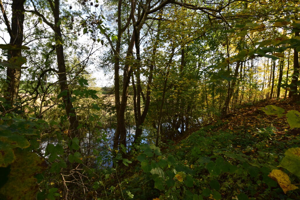 Mieszkanie w Łobżenicy na sprzedaż - zdjęcie 23