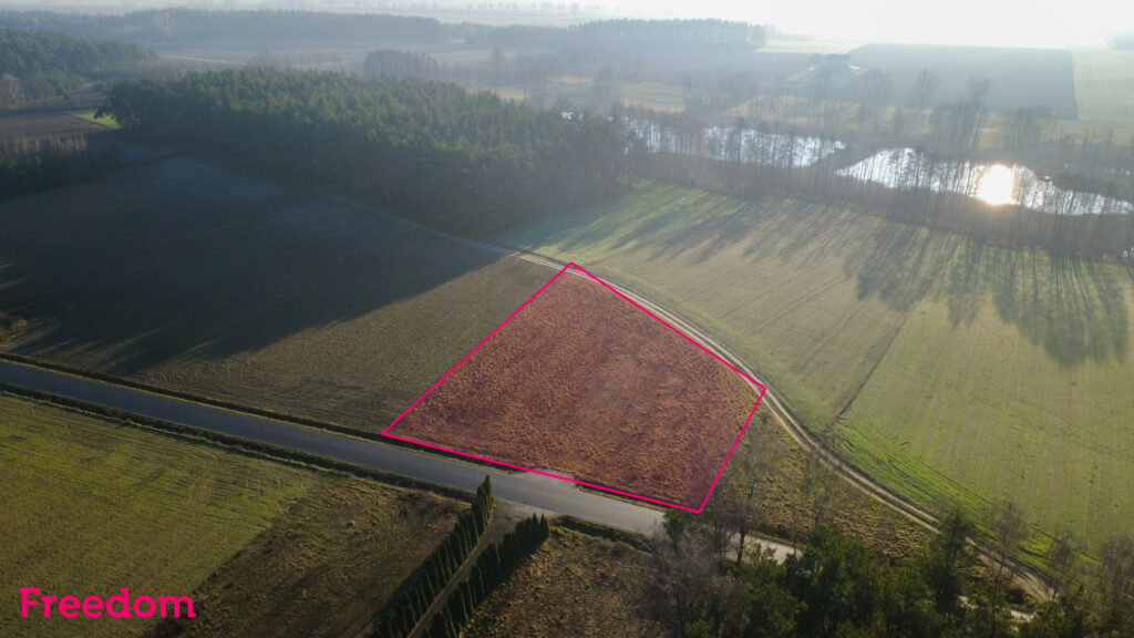 Idealna działka z warunkami zabudowy w Romanowie - zdjęcie 1