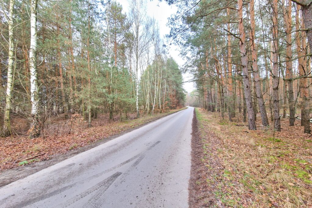 Działka leśna 6000 m2 w Mejznerzynie - zdjęcie 2