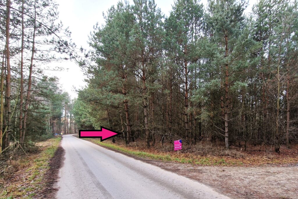 Działka leśna 6000 m2 w Mejznerzynie - zdjęcie 1