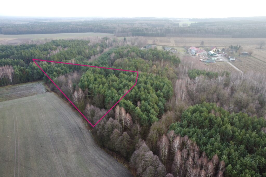 Działka leśna 6000 m2 w Mejznerzynie - zdjęcie 5
