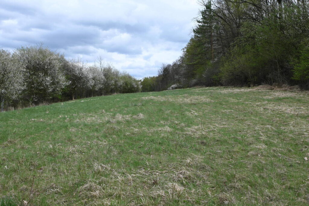 Widokowe działki budowlane w Mstowie - zdjęcie 7