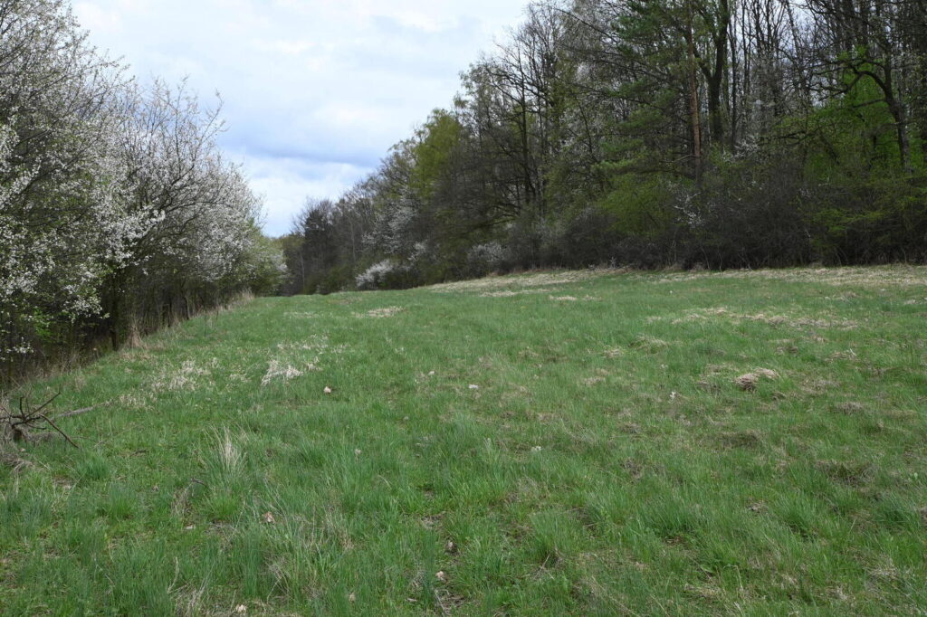 Widokowe działki budowlane w Mstowie - zdjęcie 8