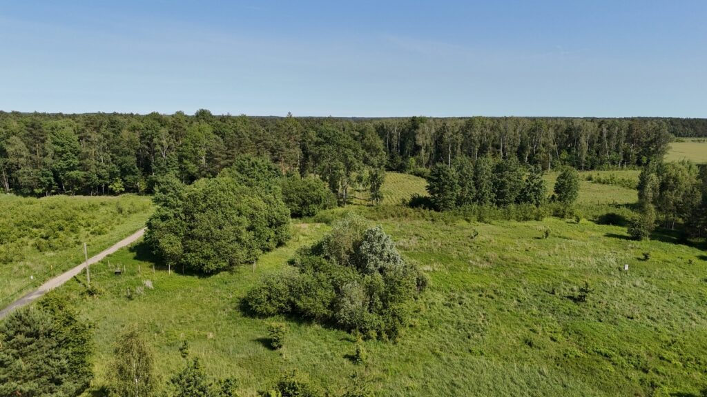 Działka 1685m2 przy lesie, Żółwia Błoć, Goleniów - zdjęcie 3