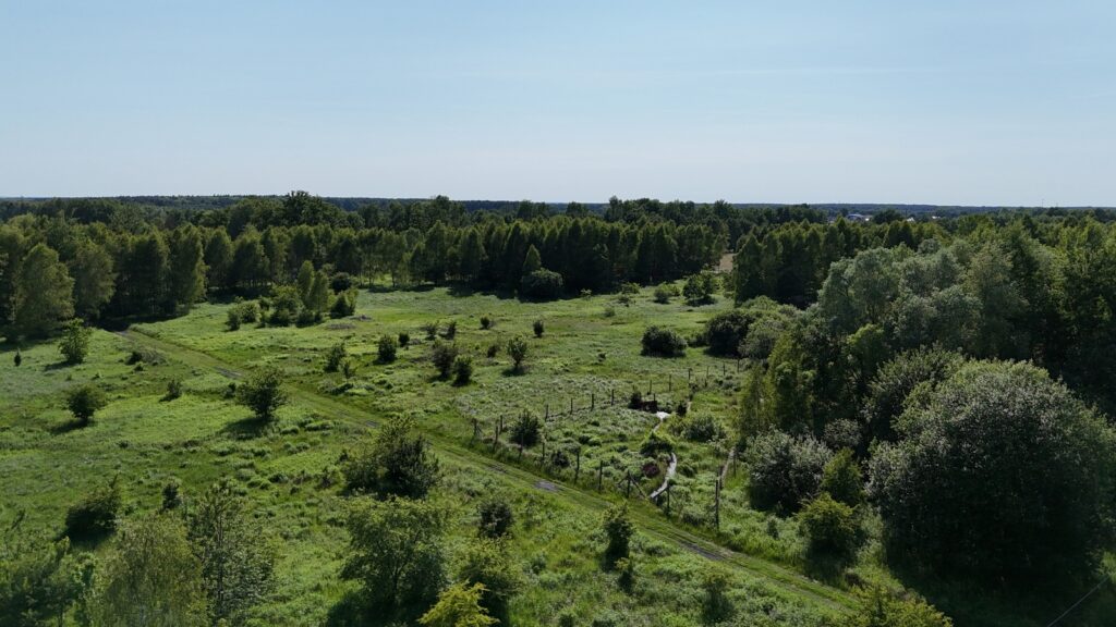 Działka 1685m2 przy lesie, Żółwia Błoć, Goleniów - zdjęcie 10